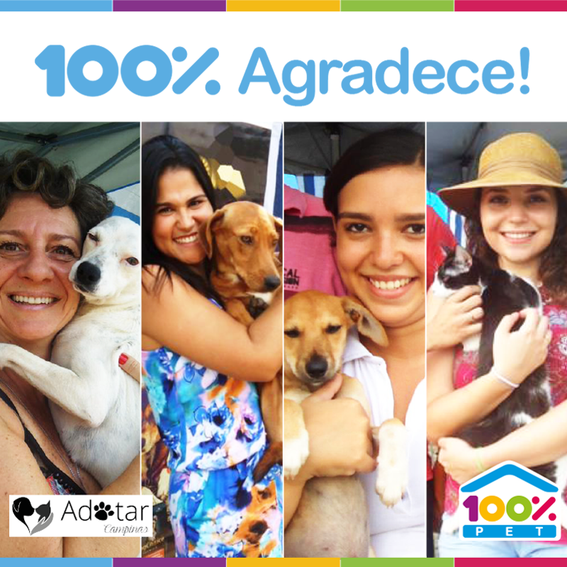 Feira de adoção em parceria com a ONG Adotar Campinas
