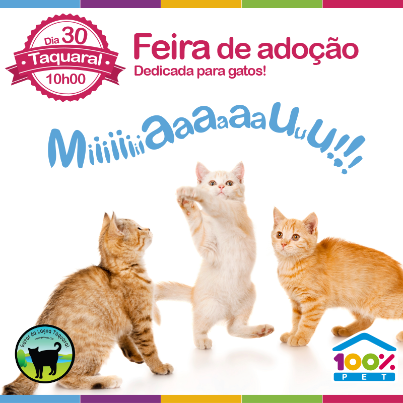 miaauuu feira de adoçao para gatos 100% Pet