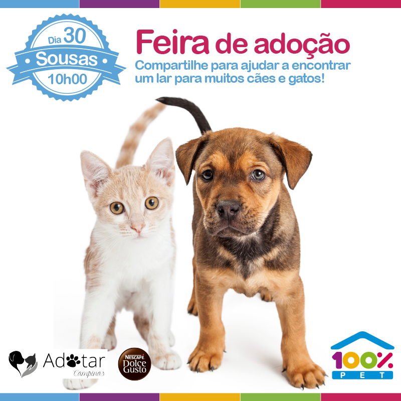 Feira de adoção junto a ONG Adotar Campinas - 100% Pet